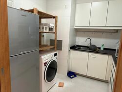 The Vesta (D15), Apartment #458609611